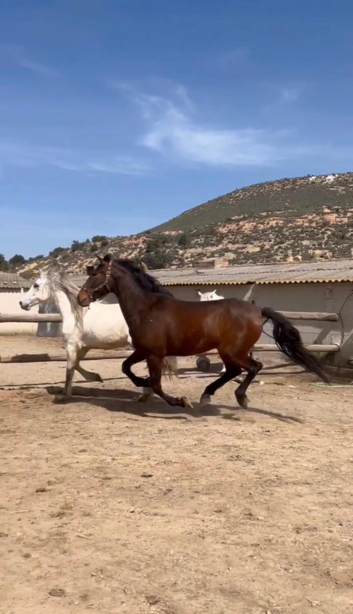 הוילה פראגה Mas Mirono מראה חיצוני תמונה